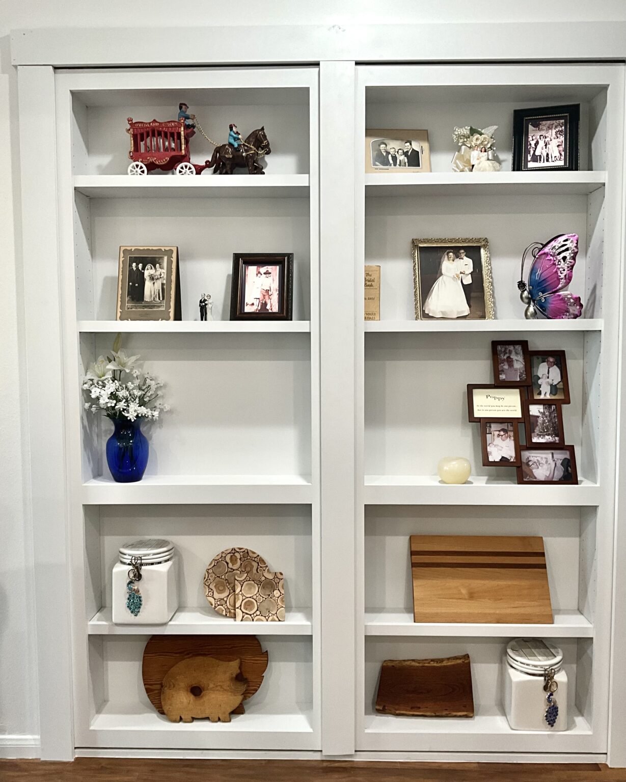 Custom built-in shelving with cabinets below